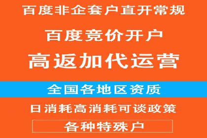 百度SEO推广案例解析与效果评估
